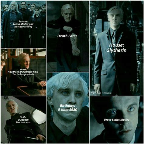 the life of draco